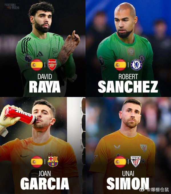 德拉富恩特：西班牙4大世界前10门将 世界杯首战